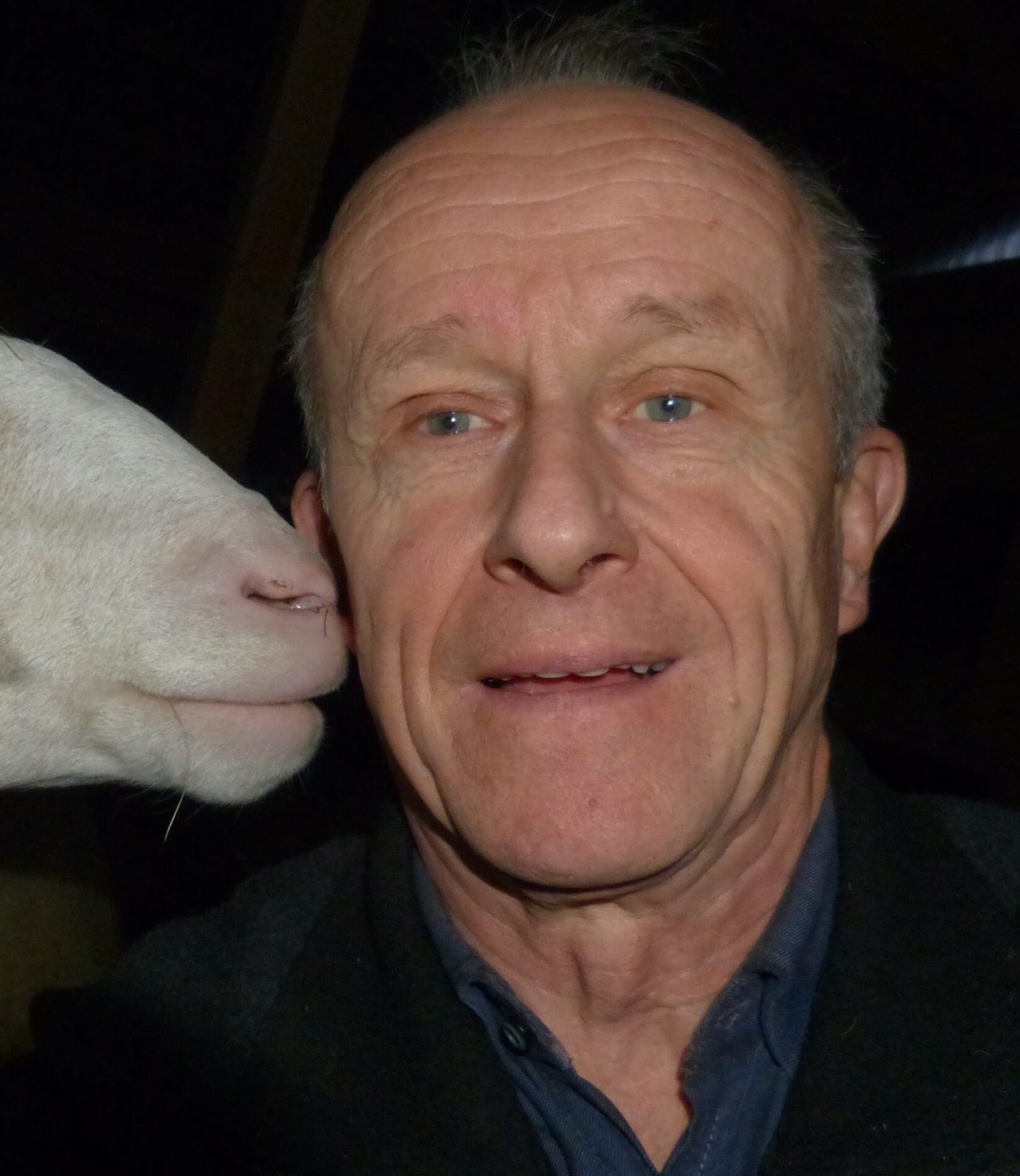 Dr. med. vet. Michael Drees